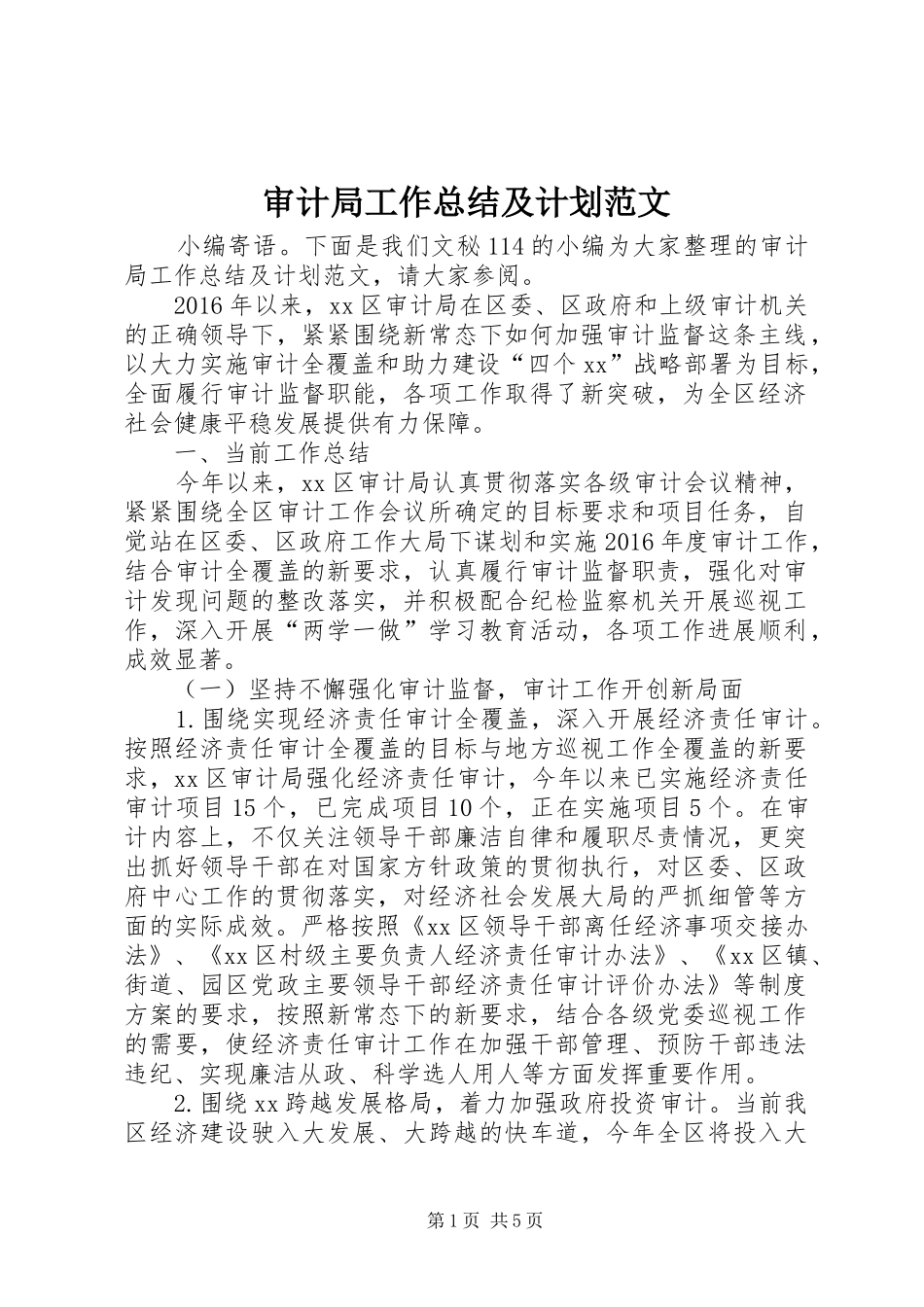 审计局工作总结及计划范文_第1页