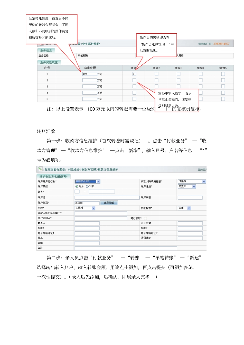 农行企业网银基本操作_第3页