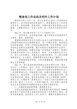 粮食局工作总结及明年工作计划