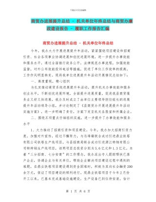 商贸办发展提升总结