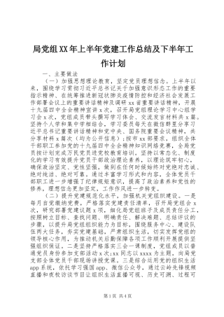 局党组XX年上半年党建工作总结及下半年工作计划