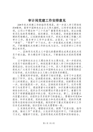 审计局党建工作安排意见