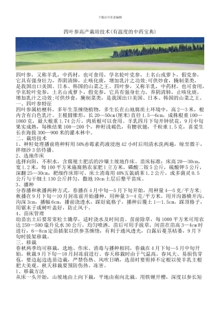 四叶参高产栽培技术