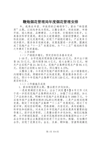 鞭炮烟花管理局年度烟花管理安排