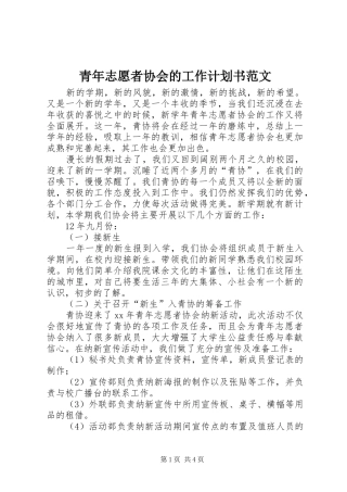 青年志愿者协会的工作计划书范文