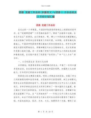 团委-党建工作总结与团委11月份总结及12月份计划汇编