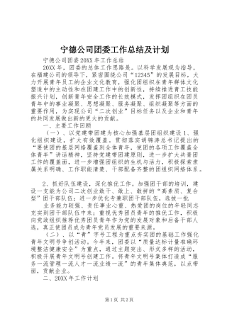 宁德公司团委工作总结及计划