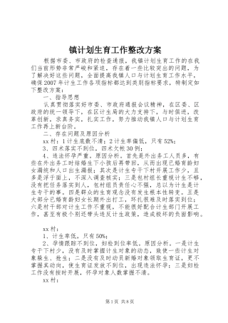 镇计划生育工作整改方案