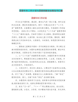 团委年末工作计划与团委招新活动策划书汇编
