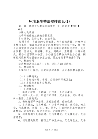 环境卫生整治安排意见(1)