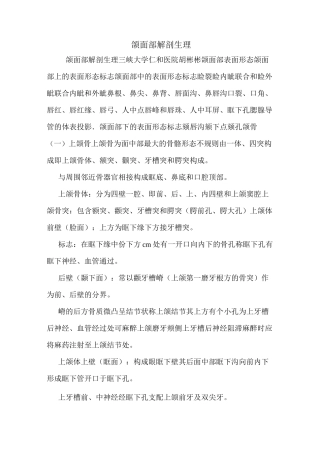 颌面部解剖生理