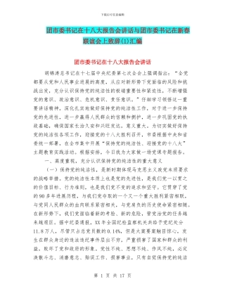 团市委书记在十八大报告会讲话与团市委书记在新春联谊会上致辞(1)汇编