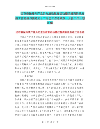 团市委保持共产党员先进性教育活动整改提高阶段总结工作总结与团总支十二月份工作总结及一月份工作计划汇编