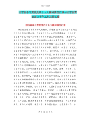 团市委学习贯彻党的十九大精神情况汇报与团市委青农部上半年工作总结汇编