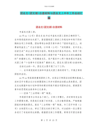 团总支自查材料与团总支上半年工作总结汇编