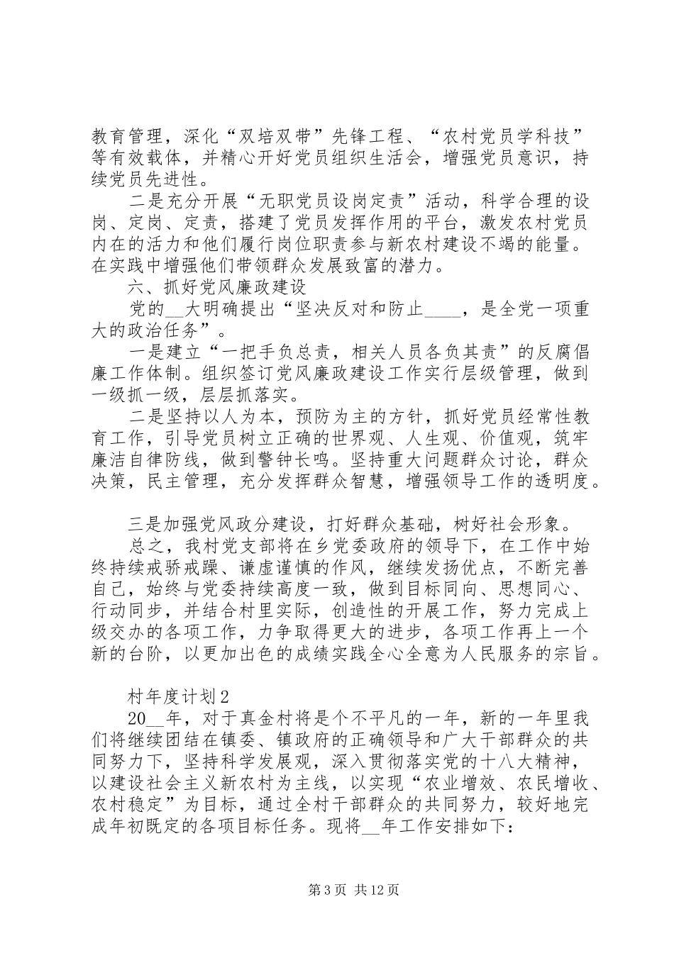 村年度计划多篇_第3页