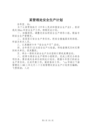 某管理处安全生产计划