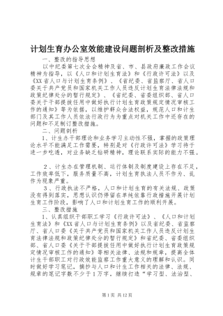 计划生育办公室效能建设问题剖析及整改措施