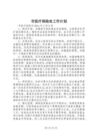 市医疗保险处工作计划