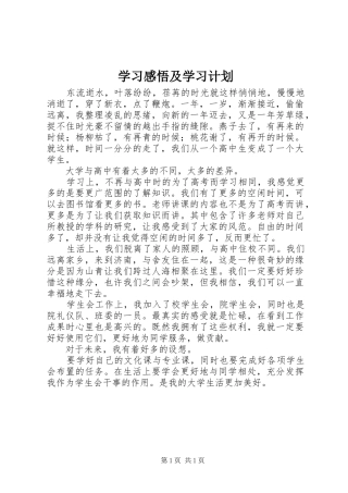 学习感悟及学习计划