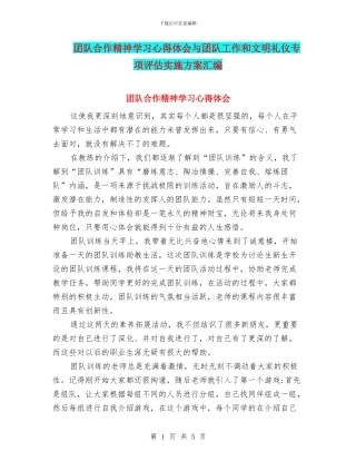 团队合作精神学习心得体会与团队工作和文明礼仪专项评估实施方案汇编