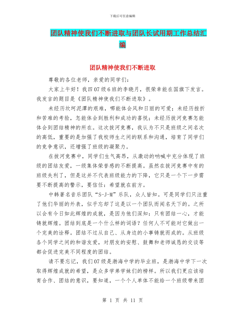 团队精神使我们不断进取与团队长试用期工作总结汇编_第1页