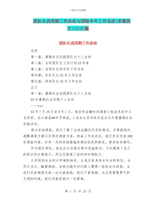 团队长试用期工作总结与团险半年工作总结(1)汇编