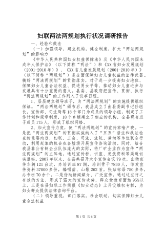 妇联两法两规划执行状况调研报告