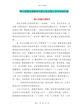 国土党建自查报告与国土党支部上半年总结汇编