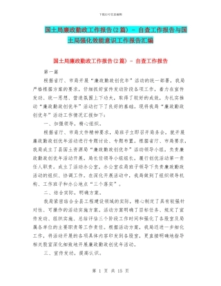 国土局廉政勤政工作报告