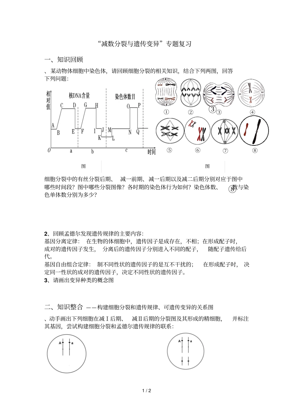 减数分裂与遗传变异专题复习_第1页