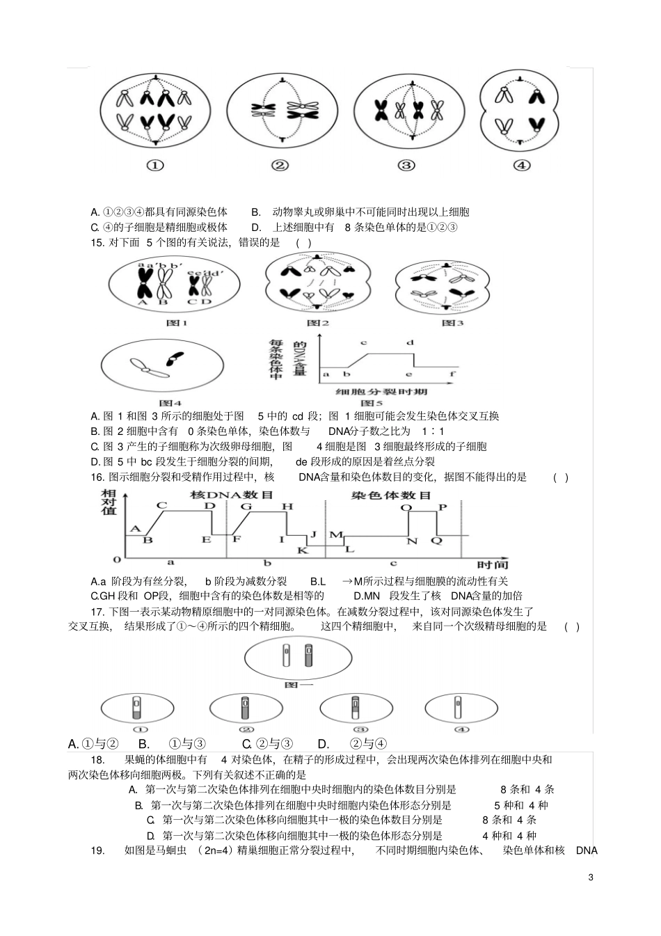 减数分裂和受精作用习题精选汇总_第3页