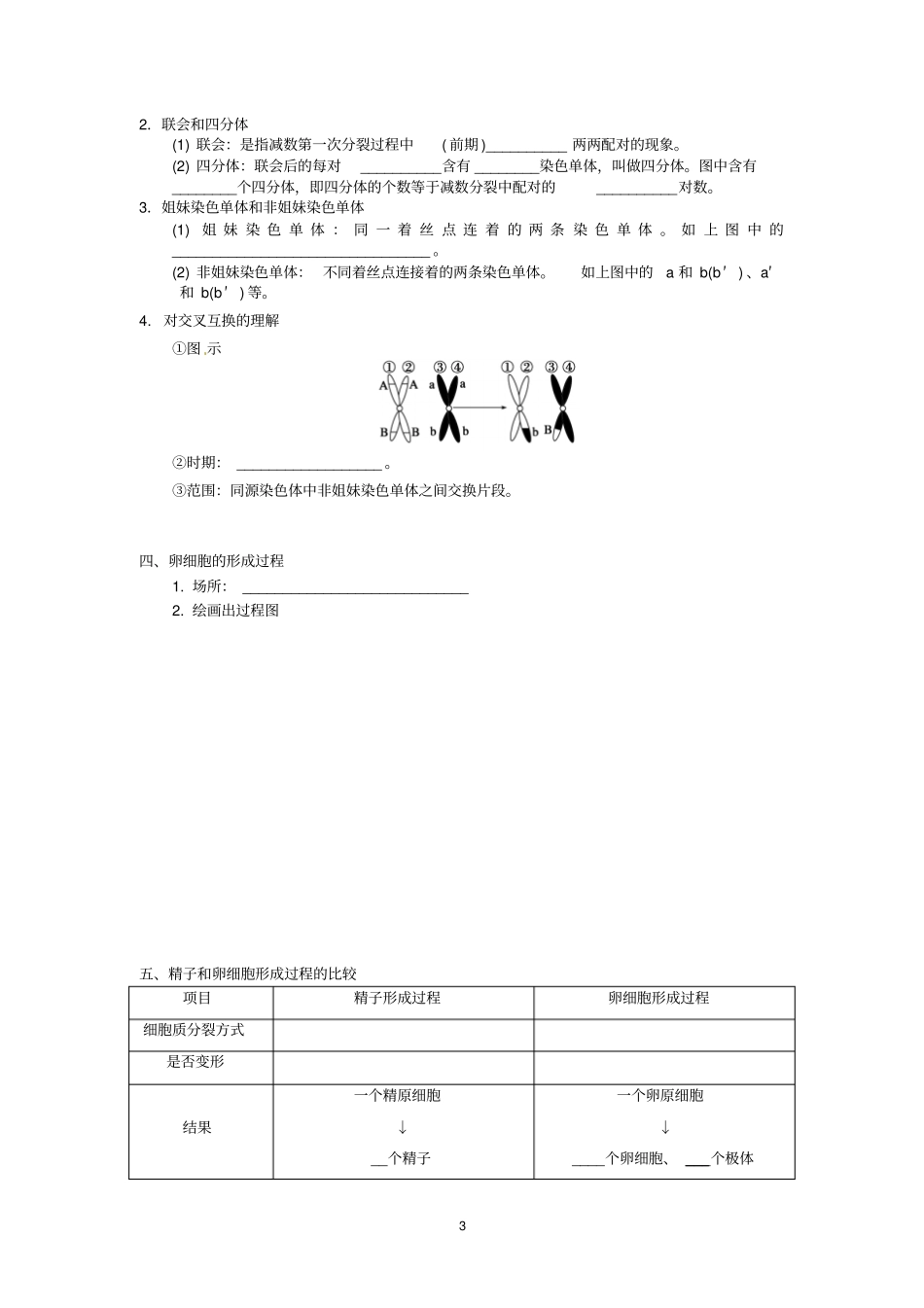 减数分裂和受精作用学案汇总_第3页