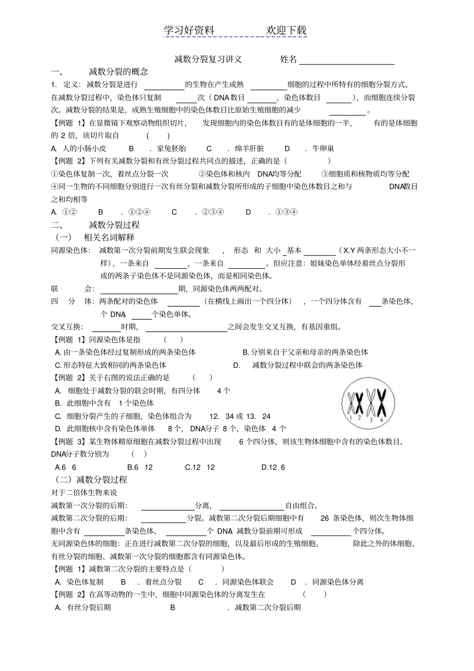 减数分裂复习导学案_第1页