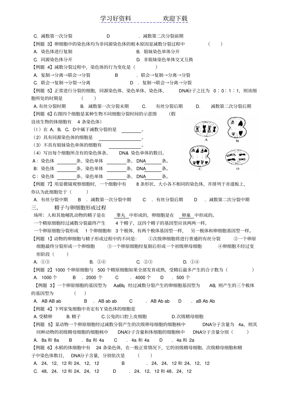 减数分裂复习导学案_第2页