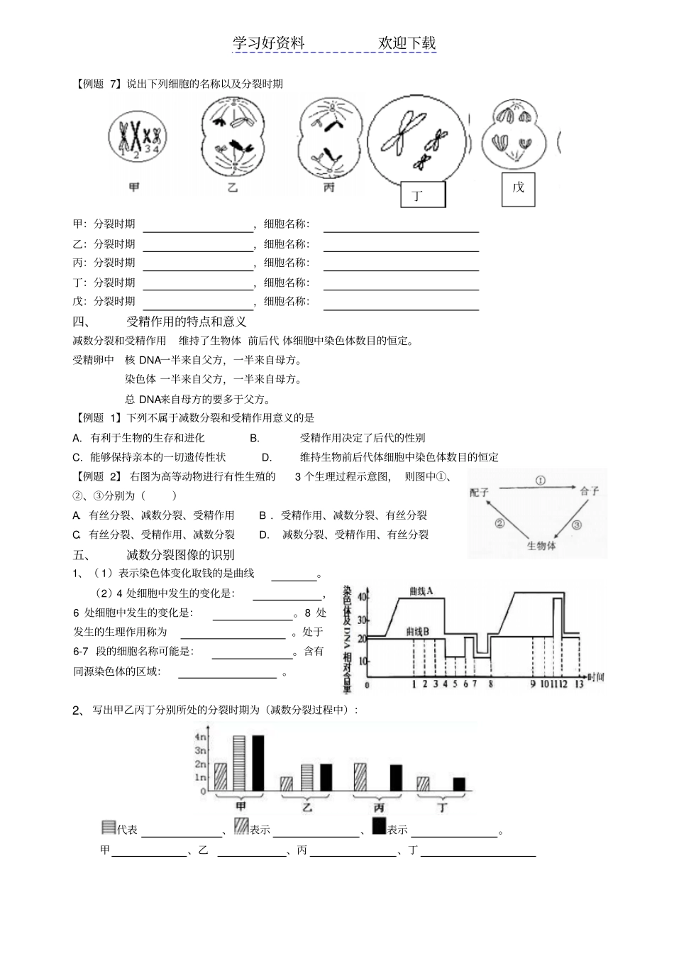 减数分裂复习导学案_第3页