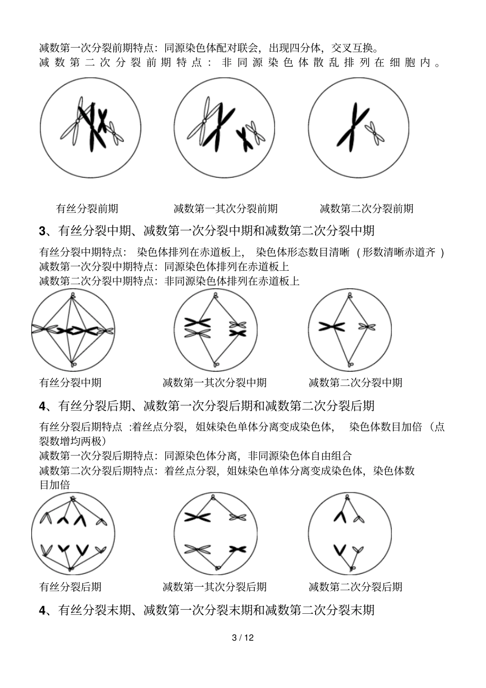 减数分裂和有丝分裂异同_第3页