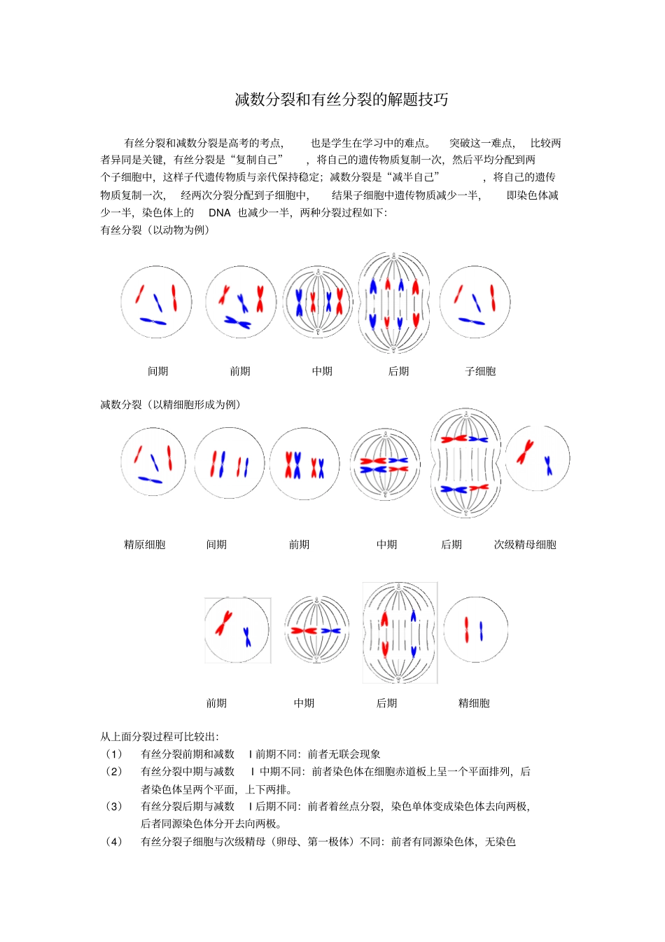 减数分裂和有丝分裂的解题技巧_第1页