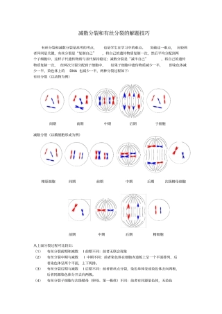 减数分裂和有丝分裂的解题技巧