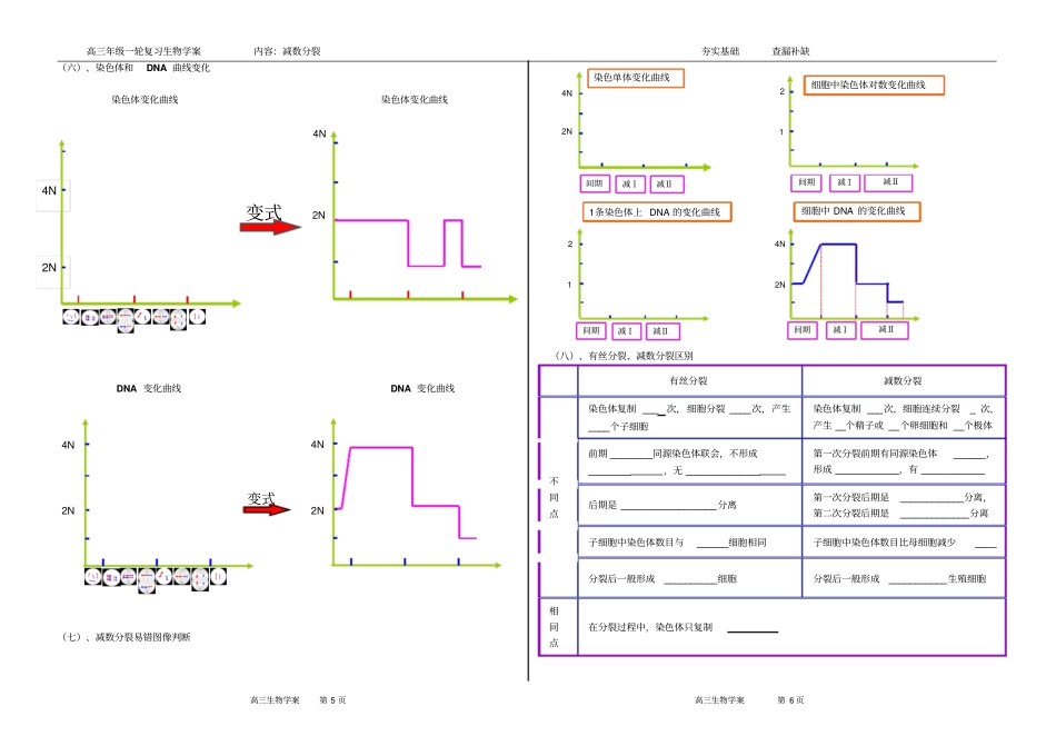 减数分裂学案汇总_第3页