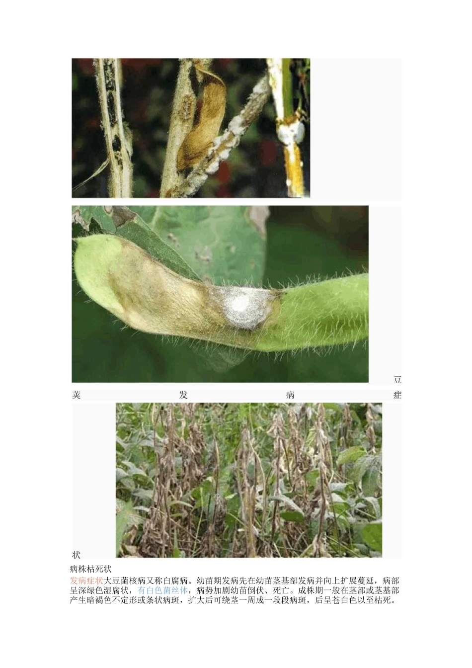 常见的大豆病害图谱在这里_第2页