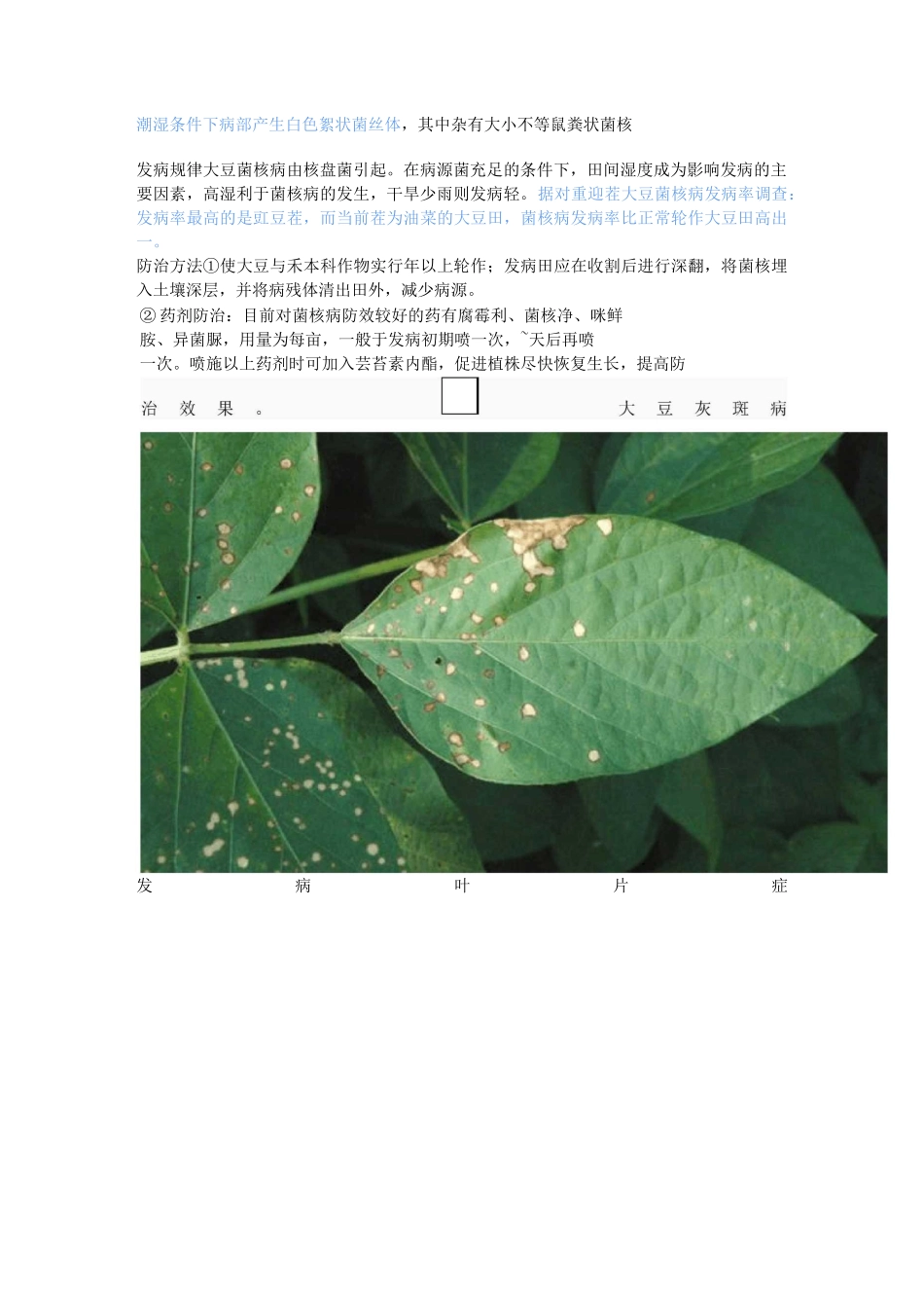 常见的大豆病害图谱在这里_第3页