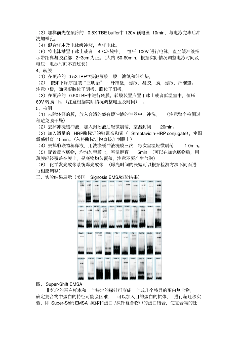 凝胶迁移试验EMSA试验方法_第2页