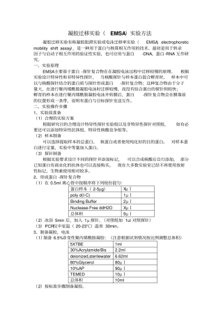 凝胶迁移试验EMSA试验方法