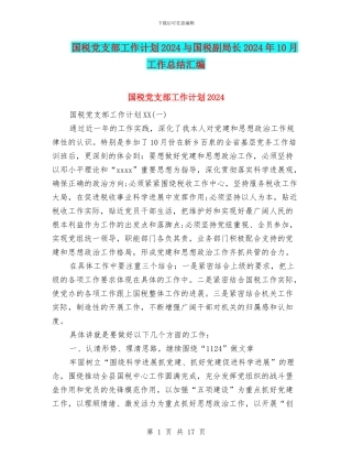 国税党支部工作计划2024与国税副局长2024年10月工作总结汇编