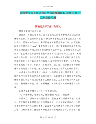 国税党支部工作计划范文与国税副局长2024年10月工作总结汇编