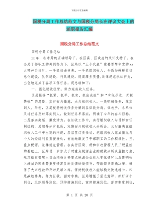 国税分局工作总结范文与国税分局长在评议大会上的述职报告汇编
