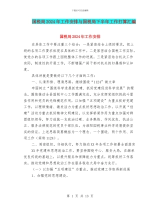 国税局2024年工作安排与国税局下半年工作打算汇编
