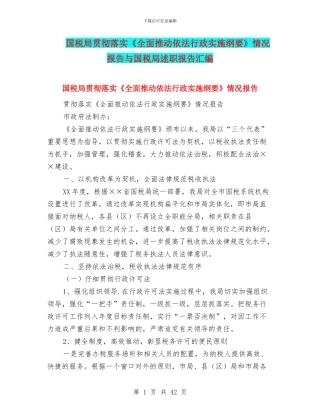 国税局贯彻落实《全面推进依法行政实施纲要》情况报告与国税局述职报告汇编