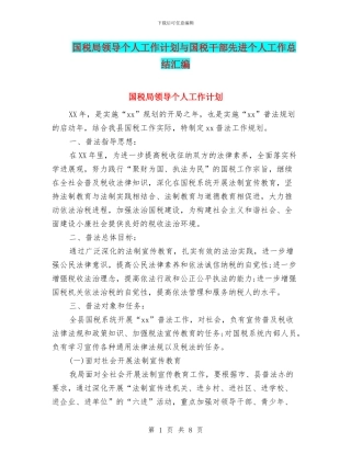 国税局领导个人工作计划与国税干部先进个人工作总结汇编